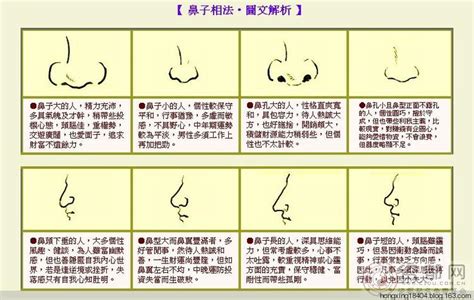 肉鼻子面相|面相入门